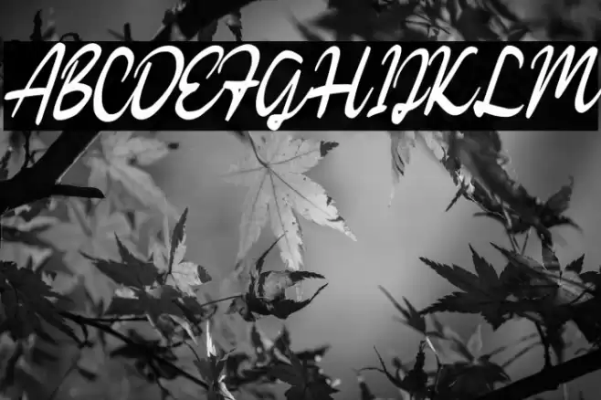 KathicaScriptDEMO-Regular Font examples