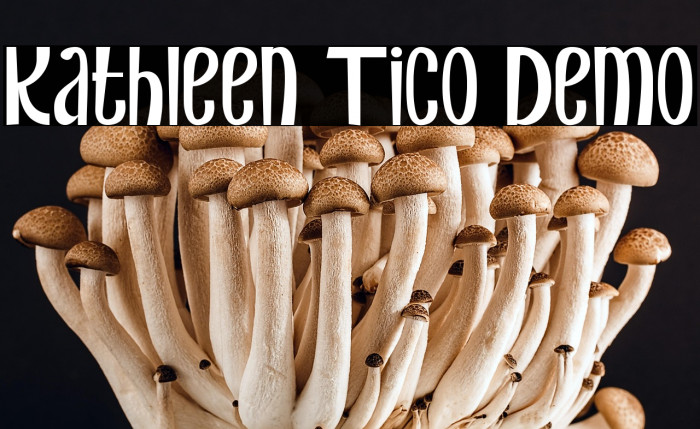 Kathleen Tico Demo Example 1