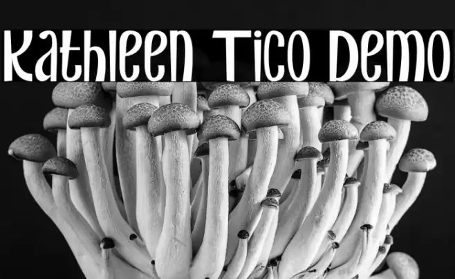 Kathleen Tico Demo Font examples