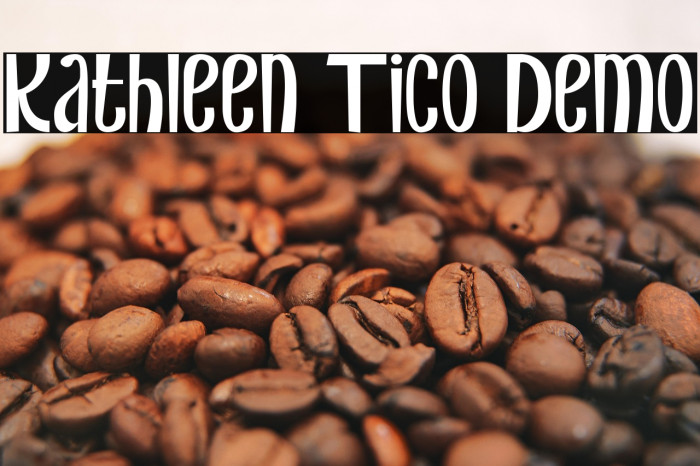 Kathleen Tico Demo Example 3