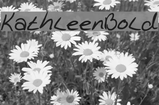 KathleenBold Font examples