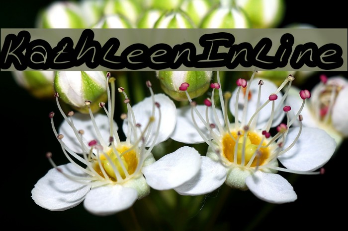 KathleenInline Font examples
