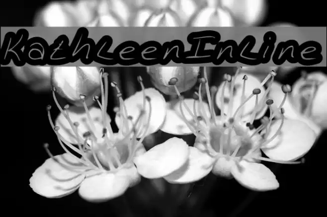 KathleenInline フォント examples