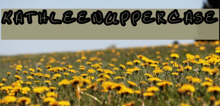 KathleenUppercase Example 1