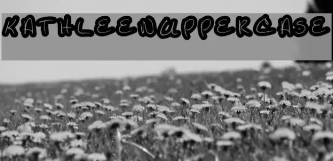 KathleenUppercase Font examples