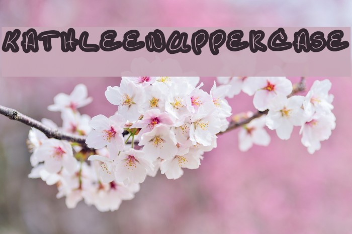 KathleenUppercase Example 3