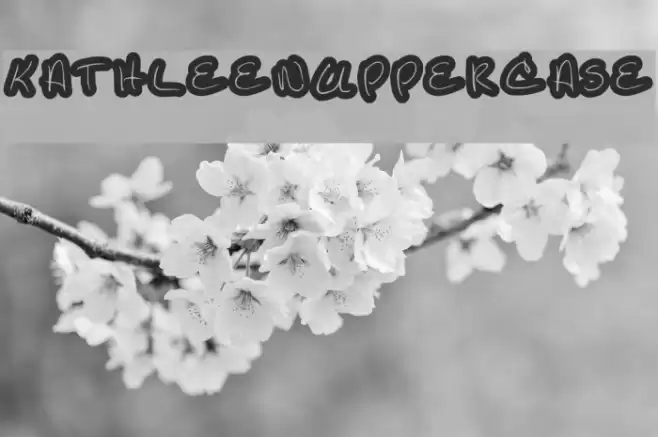 KathleenUppercase Font examples