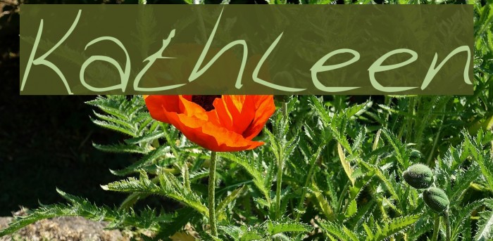 Kathleen Font examples