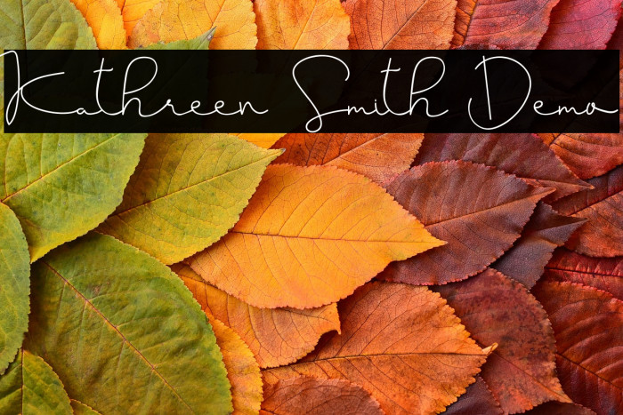 Kathreen Smith Demo Example 3