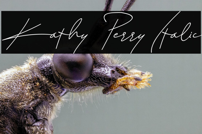 Kathy Perry Italic Example 3