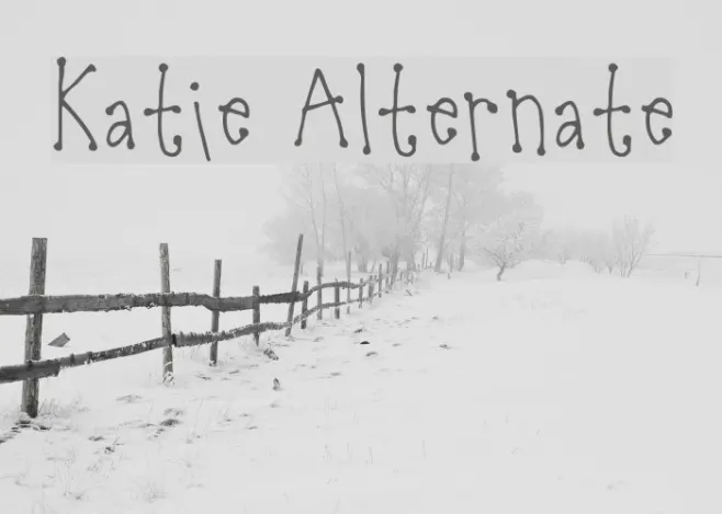 Katie Alternate Example 2