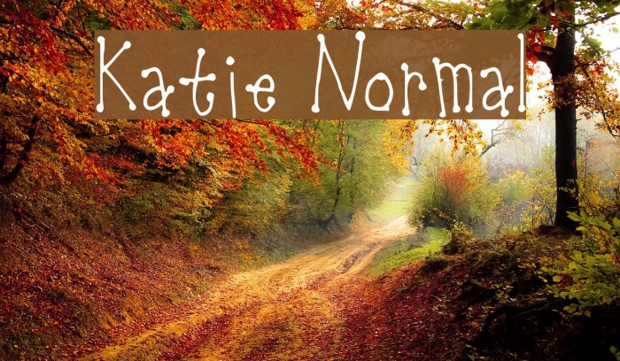 Katie Normal Font examples
