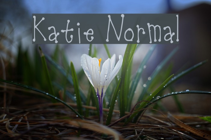 Katie Normal Font examples