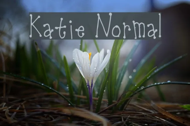 Katie Normal Example 2