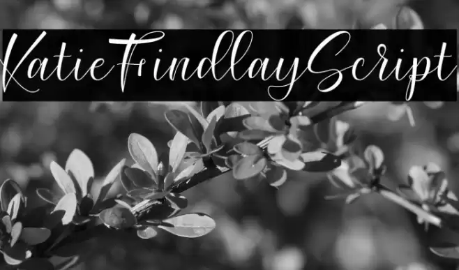KatieFindlayScript Font examples