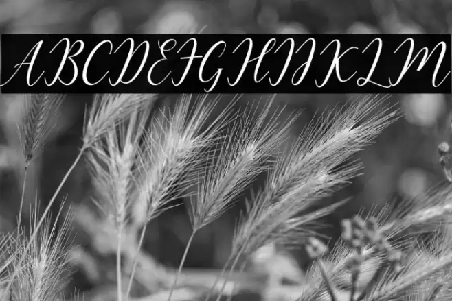 Katlyne Font examples