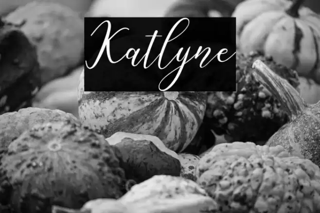 Katlyne Font examples
