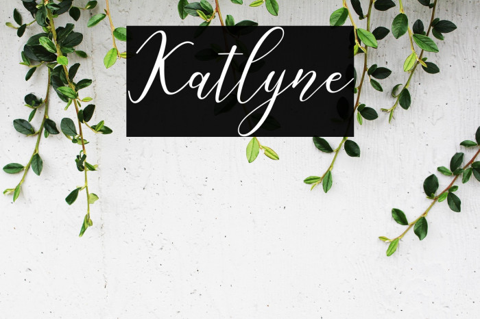 Katlyne Example 3