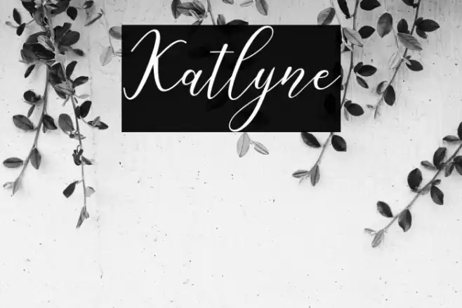 Katlyne Font examples