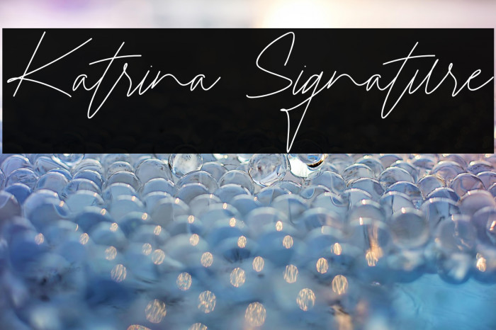 Katrina Signature Example 3