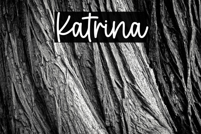 Katrina Example 1