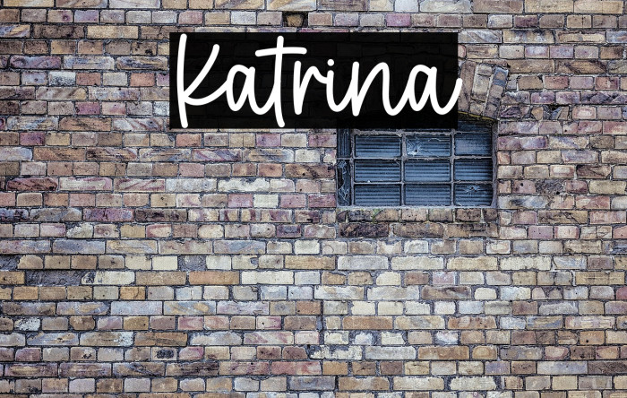 Katrina Example 2