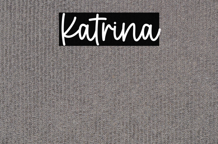 Katrina Example 3