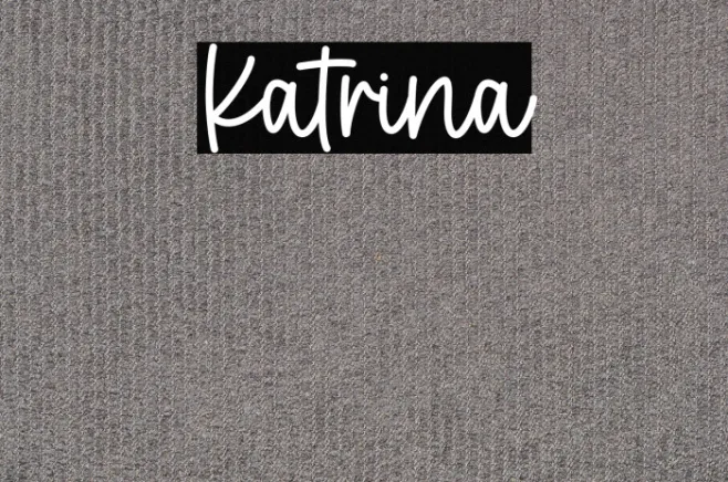 Katrina Example 3