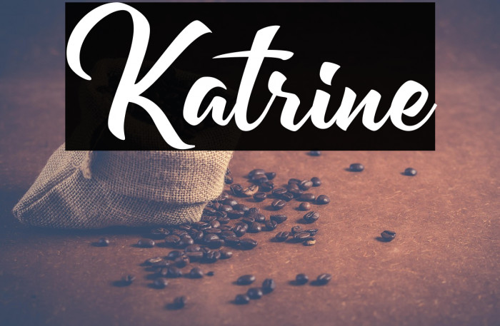 Katrine Example 3