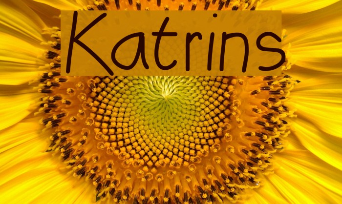 Katrins Font examples