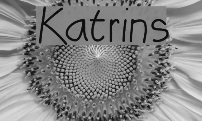 Katrins Font examples