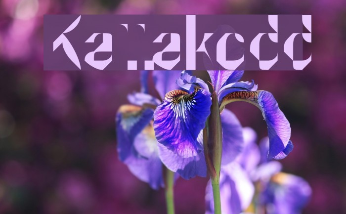 Kattakodd Font examples