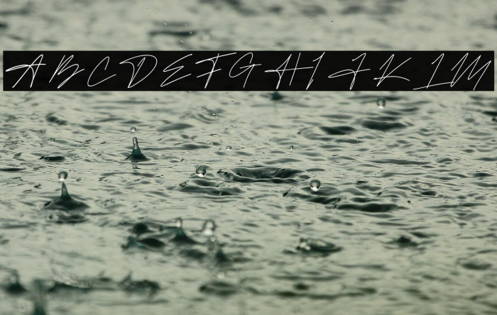 KattelaSignature Example 2