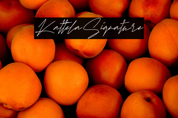 KattelaSignature Example 1