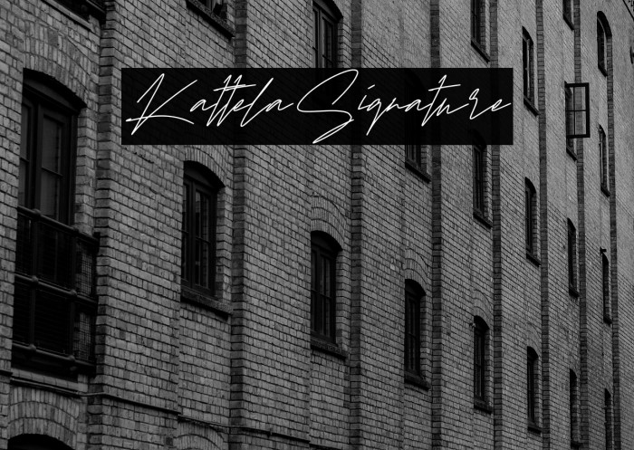 KattelaSignature Example 2