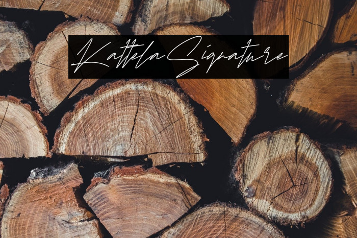 KattelaSignature Example 3