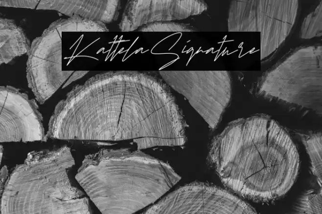 KattelaSignature Font examples