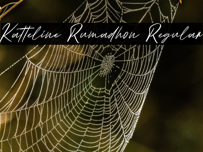 Katteline Rumadhon Regular Example 3