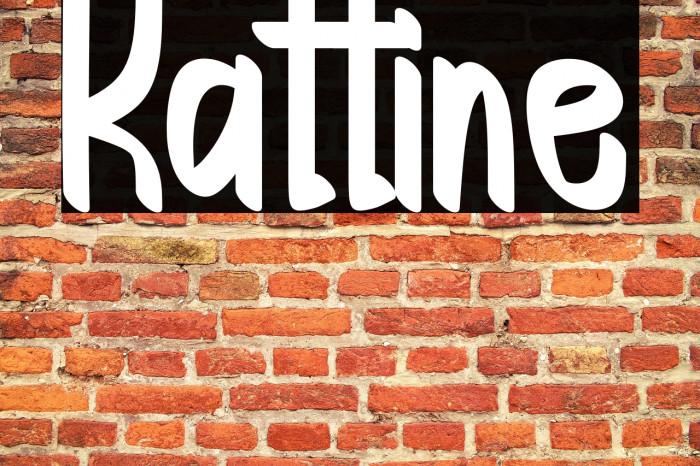 Kattine Example 3