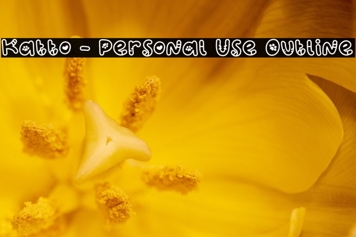 Katto - Personal Use Outline Example 2