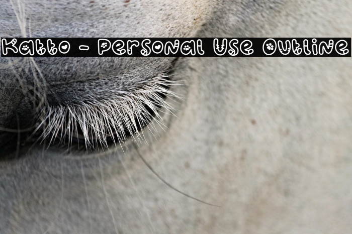 Katto - Personal Use Outline Example 3