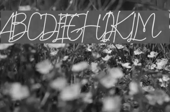 Katty Pretty 1 Font examples