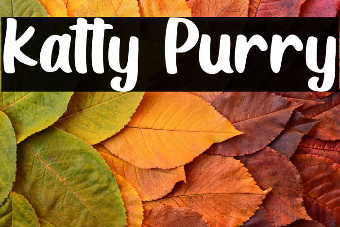 Katty Purry Example 1