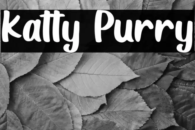 Katty Purry Font examples