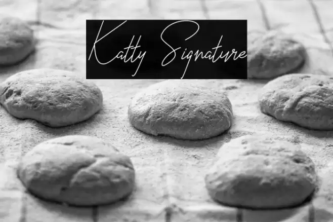 Katty Signature Font examples