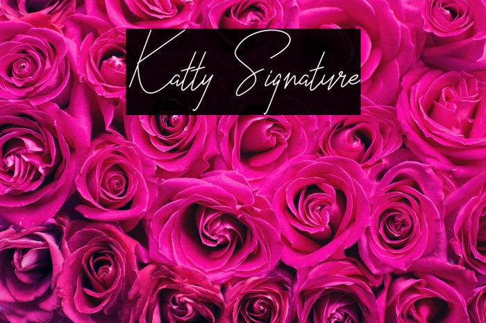 Katty Signature Example 2