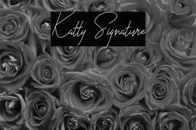 Katty Signature Font examples