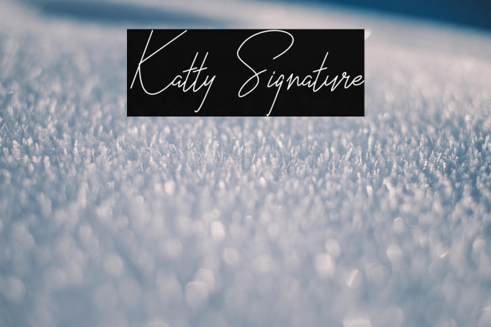 Katty Signature Example 3