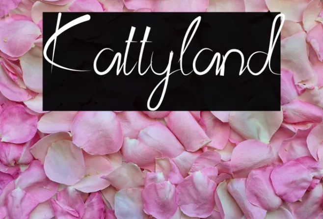 Kattyland Example 1