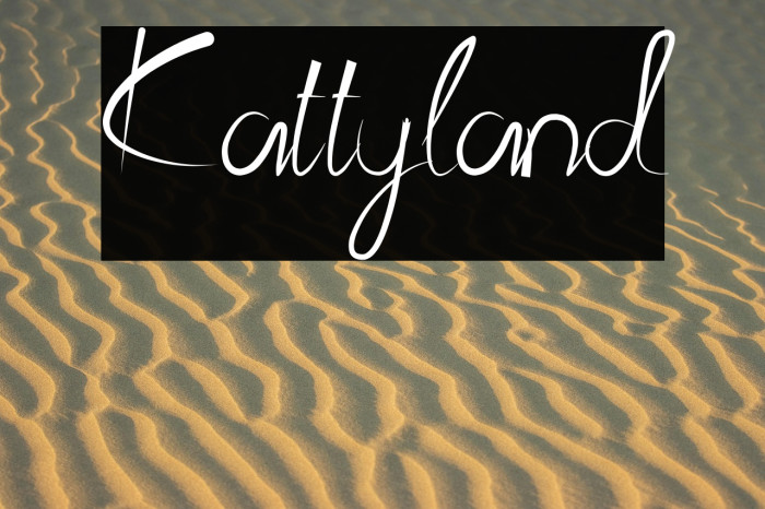 Kattyland Example 2